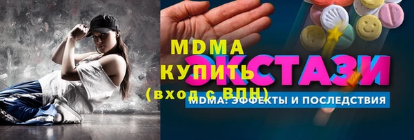 мдпв Бородино