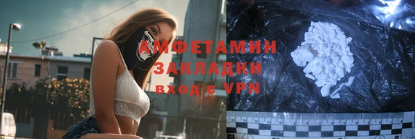 мдпв Бородино