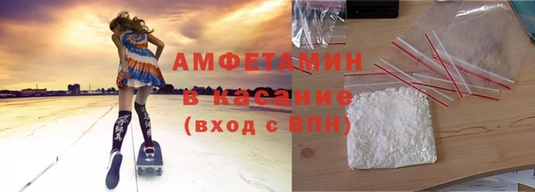 мдпв Бородино