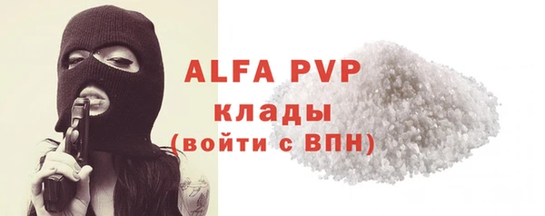 мдпв Бородино