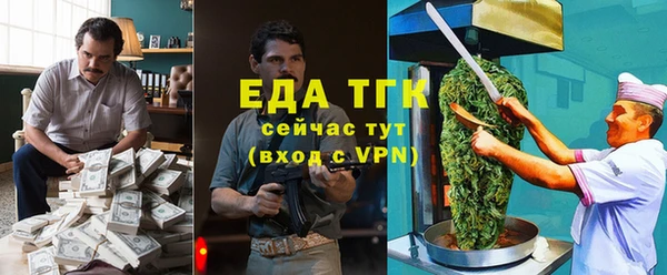 мдпв Бородино