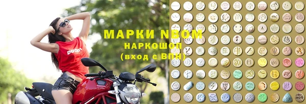 мдпв Бородино